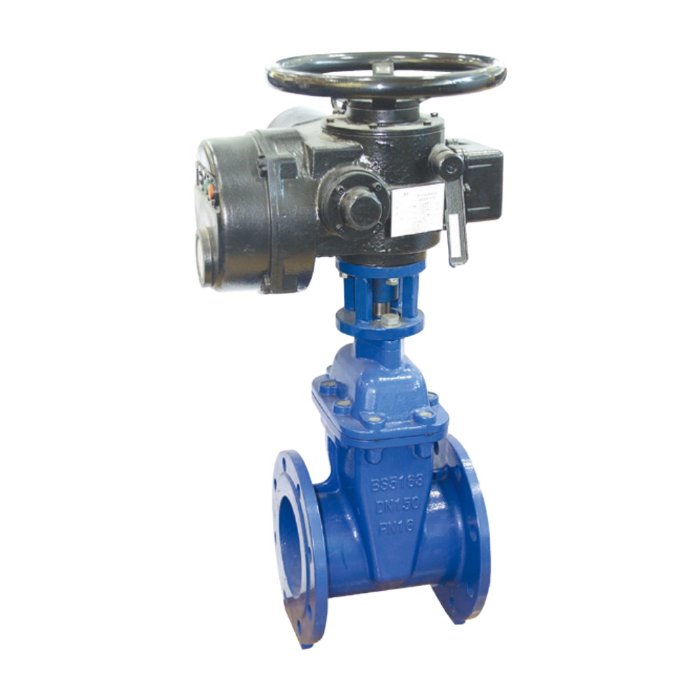 Z945X Electric gate valve