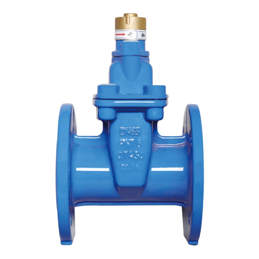 CZ45XS Flange-type concealed-shaft magnetic encryption gate valve