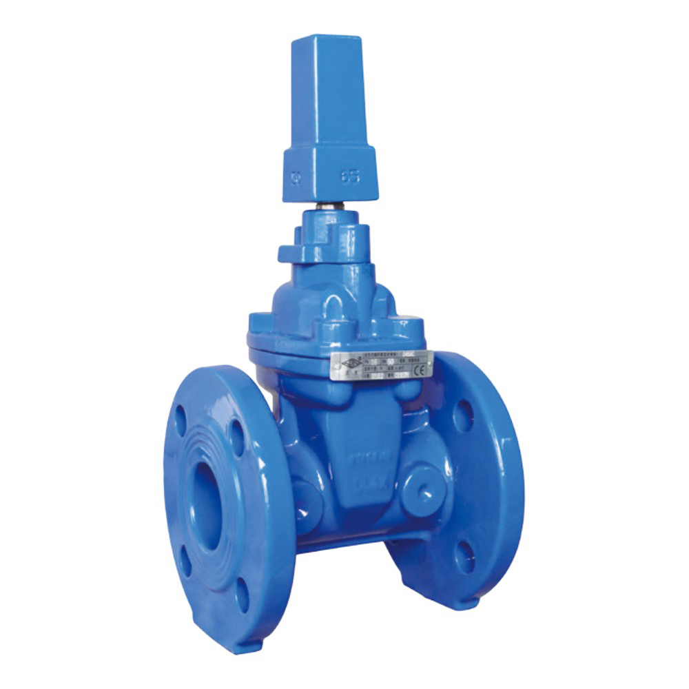 Z45XC Flange-type concealed-shaft transmission cap gate valve