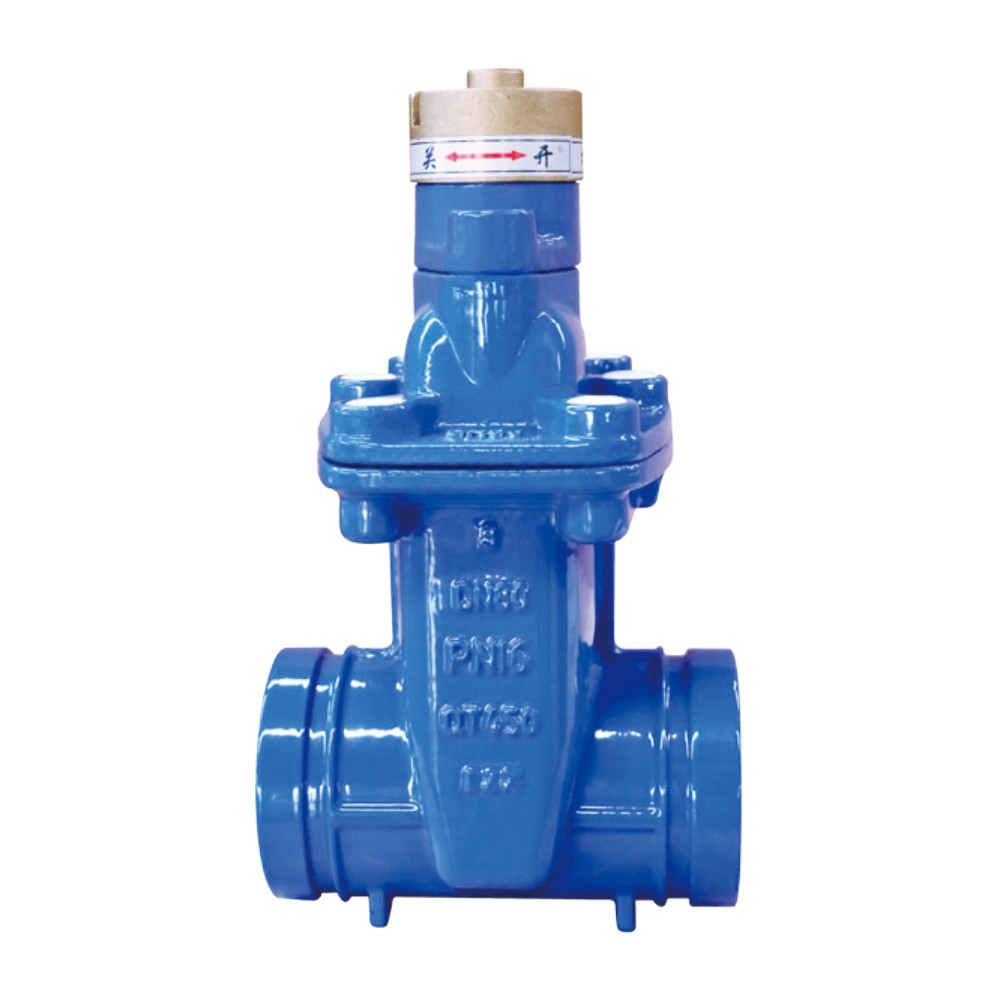 Grooved magnetic encryption anti-theft gate valve